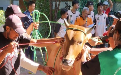 Pemotongan Hewan Qurban Idul Adha 1446 H jadi semangat silaturrahim